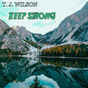 Download track Calm After The Storm T. J. Wilson