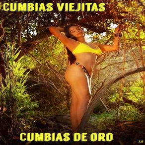 Download track Beso De Miel Cumbias Viejitas