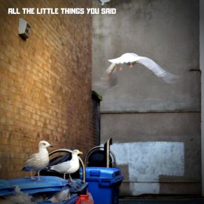 Download track All The Little Things You Said Paul Hughes