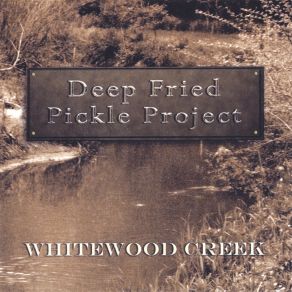 Download track One Left Deep Fried Pickle Project