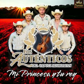 Download track La De Los Hoyitos Los Autenticos Del Capote Michoacan