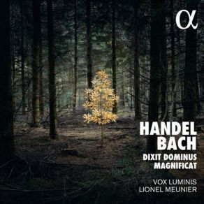 Download track 22. Handel: Dixit Dominus HWV 232 - X. Gloria Patri Et Filio Vox Luminis