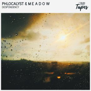 Download track Despondency Phlocalyst, M E A D O W