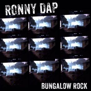 Download track I Cant Be Satisfied Ronny Dap