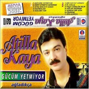 Download track Senede Bir Gün Atilla Kaya