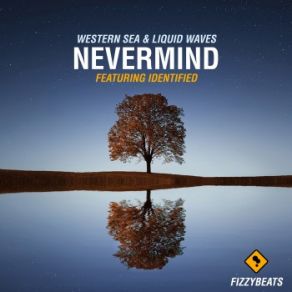 Download track Nevermind Liquid Waves, Western SeaIdentified