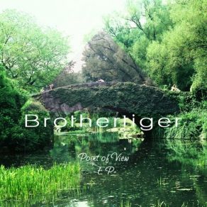 Download track Back To Us Brothertiger