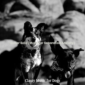 Download track Relaxed Ambiance For Separation Anxiety Classy Music For Dogs