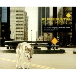 Download track Under The Bridge (Live) The Red Hot Chili Peppers