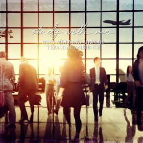 Download track Busy Morning Airport Terminal Ambience, Pt. 8 Sebastian Riegl