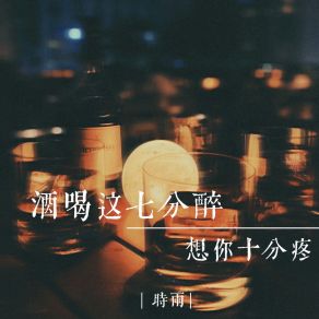 Download track 酒喝这七分醉 想你十分疼（伴奏） Shi Yu