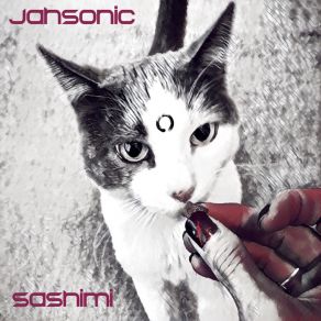 Download track Nigiri Dreams Jahsonic