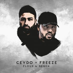 Download track Fake Shit Ceydo