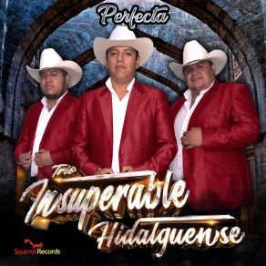 Download track Perfecta Trio Insuperable Hidalguense