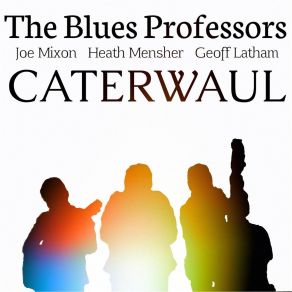 Download track Waltz In The Rain The Blues Professors