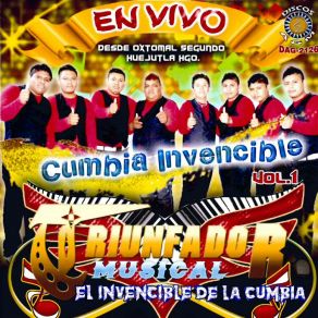 Download track Puno De Tierra (En Vivo) Triunfador Musical