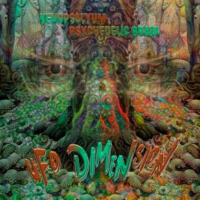 Download track UFO Dimension (Radio Edit 01) Psychedelic Brain