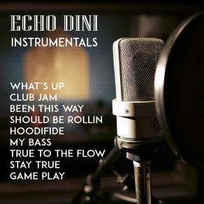 Download track What's Up Echodini