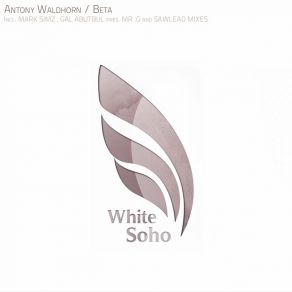 Download track Beta (Marc Simz Remix) Antony Waldhorn