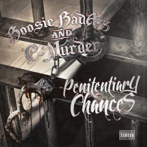 Download track Black Babies Don't Mourn C - Murder, Boosie Badazz