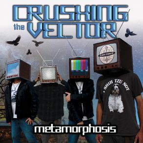 Download track Illusions Crushing The Vector