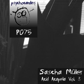 Download track 5 Min. Acid Warning, Pt. 4 Sascha Muller