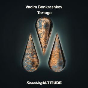 Download track The Space Between Us Vadim Bonkrashkov