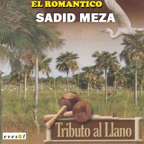 Download track Tonada De Campesino Sadid Meza