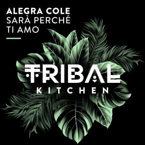 Download track Sarà Perché Ti Amo (Extended Mix) Alegra Cole