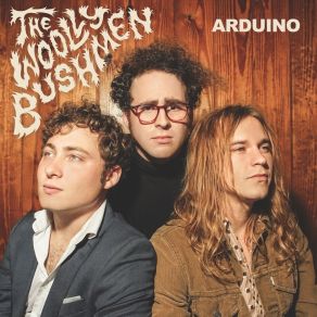 Download track If It's Alright With You The Woolly Bushmen