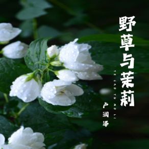 Download track 野草与茉莉 2 (Dj默涵版) 卢润泽DJ默涵