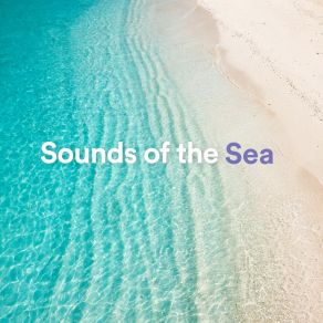 Download track Gentle Ocean Waves The White Noise