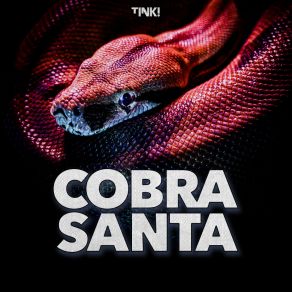 Download track Don Salgado's Groove (Can You Feel It) COBRA SANTA