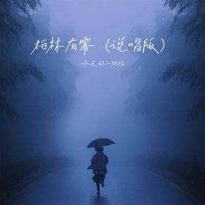 Download track 柏林有雾 (说唱版) 坏雲