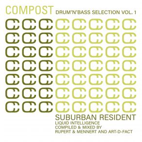 Download track Compost Drum'n'Bass Selection, Vol. 1 (Continuous Mix) Rupert & Mennert, Art-D-Fact