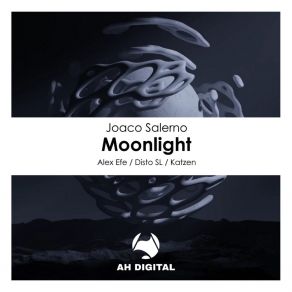 Download track Moonlight (Alex Efe Remix) Joaco SalernoAlex Efe