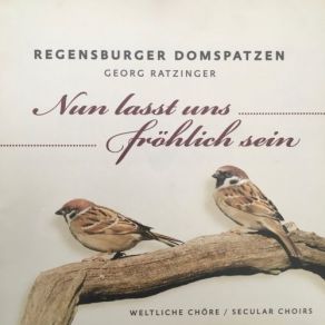 Download track Wem Gott Will Rechte Gunst Erweisen Regensburger Domspatzen