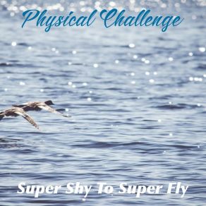 Download track Out To Sea Super Shy To Super Fly