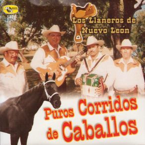 Download track Caballo Prieto Los Llaneros De Nuevo Leon