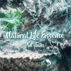 Download track Ant Hill (Coronation Ritual) Natural Life Essence