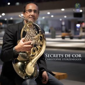 Download track Memorial Sonata- V. Corale Christophe Sturzenegger