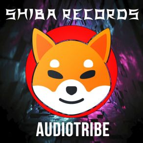 Download track Audiotribe Tom-Star