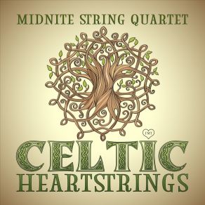 Download track Dirty Old Town Midnite String Quartet