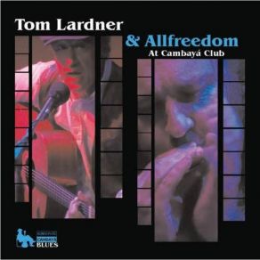 Download track Tonight The Bottle Tom Lardner & Allfreedom