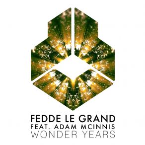 Download track Wonder Years Fedde Le Grand, Adam McInnis