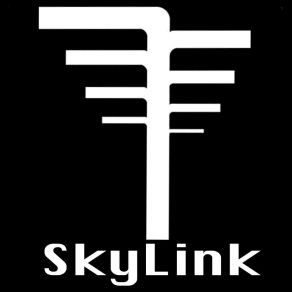 Download track Nsa SkyLink