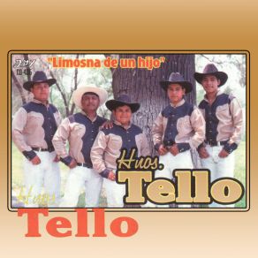 Download track Mil Flores De Mayo Los Hernamos Tello