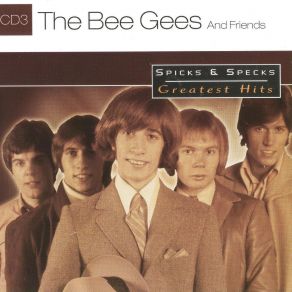 Download track Turn Around, Look At Me Bee Gees