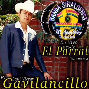 Download track Las Nieves De Enero (En Vivo) Saul Viera 