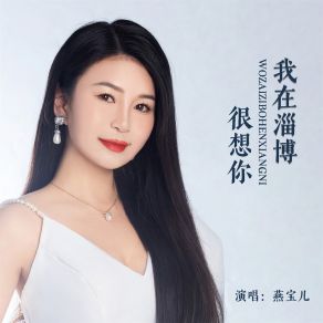 Download track 我在淄博很想你 (DJ默涵版) 燕宝儿